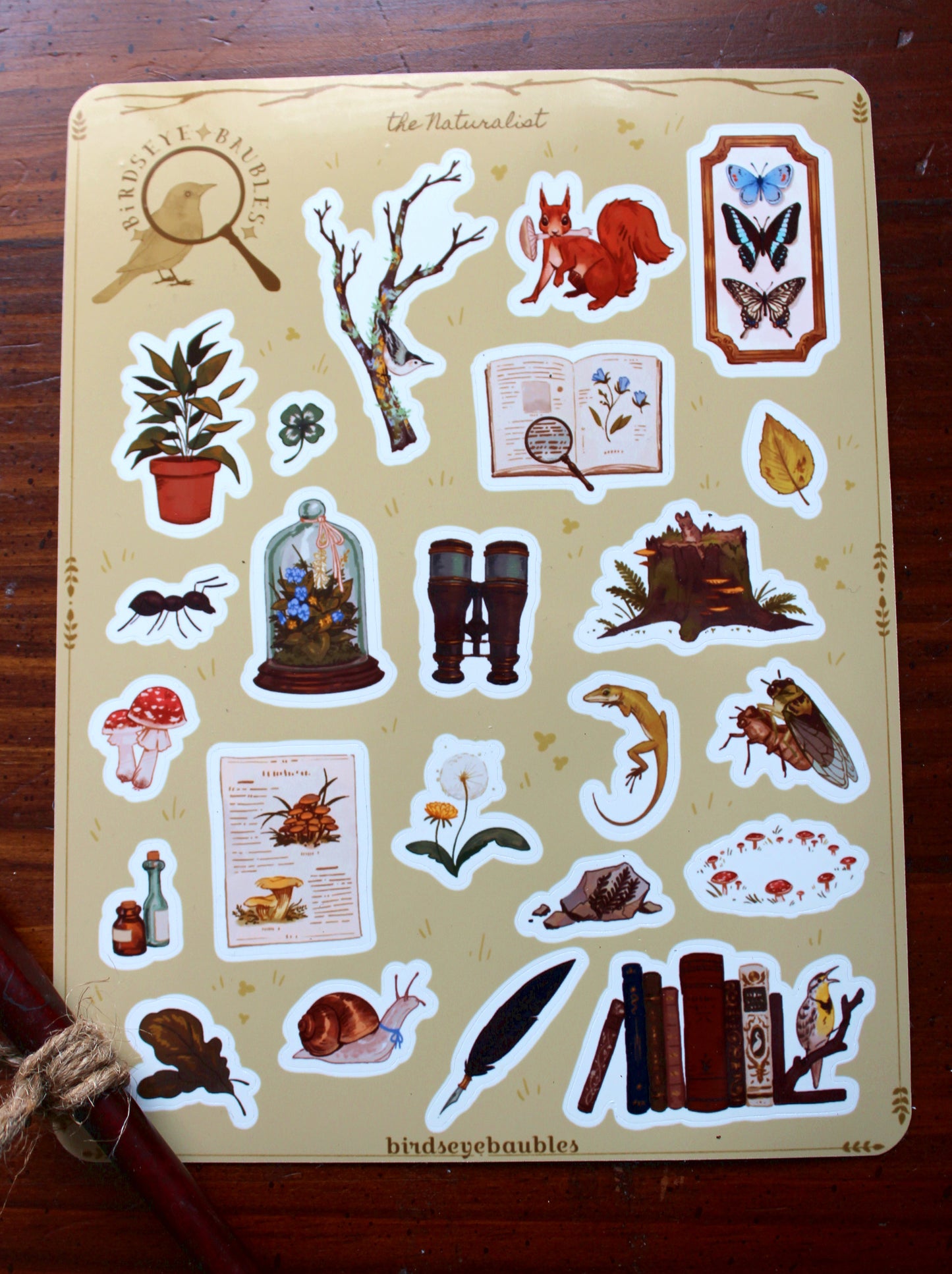 'The Naturalist' Sticker Sheet