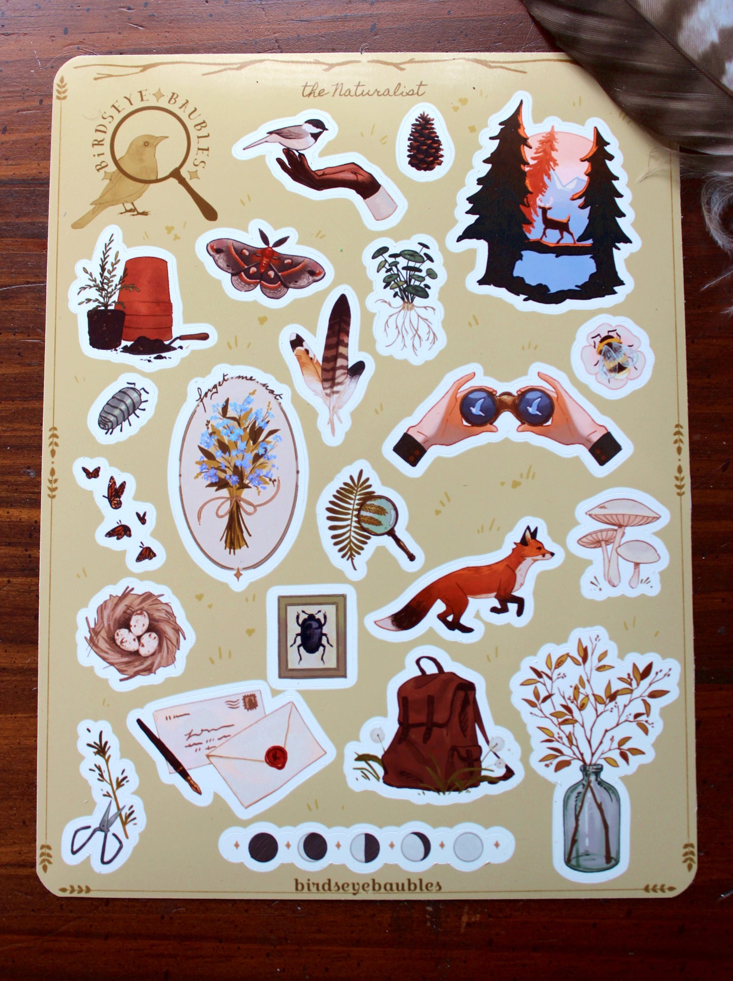 'The Naturalist' Sticker Sheet